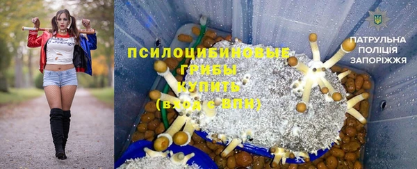 СК Лиски