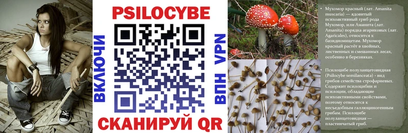 Псилоцибиновые грибы мухоморы  хочу наркоту  Щигры 